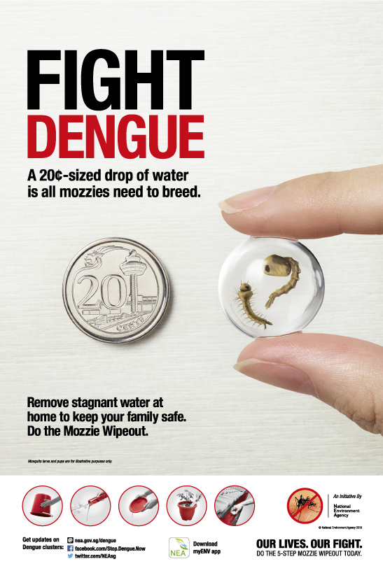 Fight Dengue